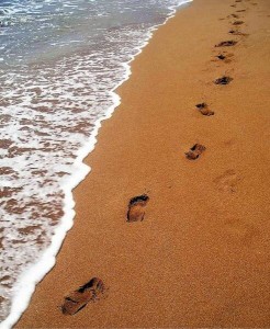 footprints_in_the_sand_op_493x600