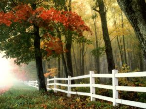 fence-autumn